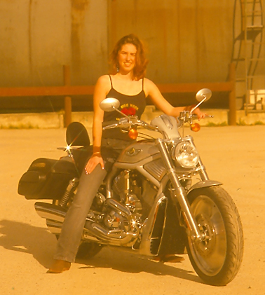Harley-Davidson V Rod von 2003